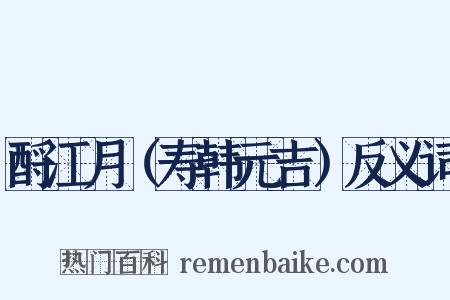 酹江月（寿韩元吉）反义词是什么意思的图片